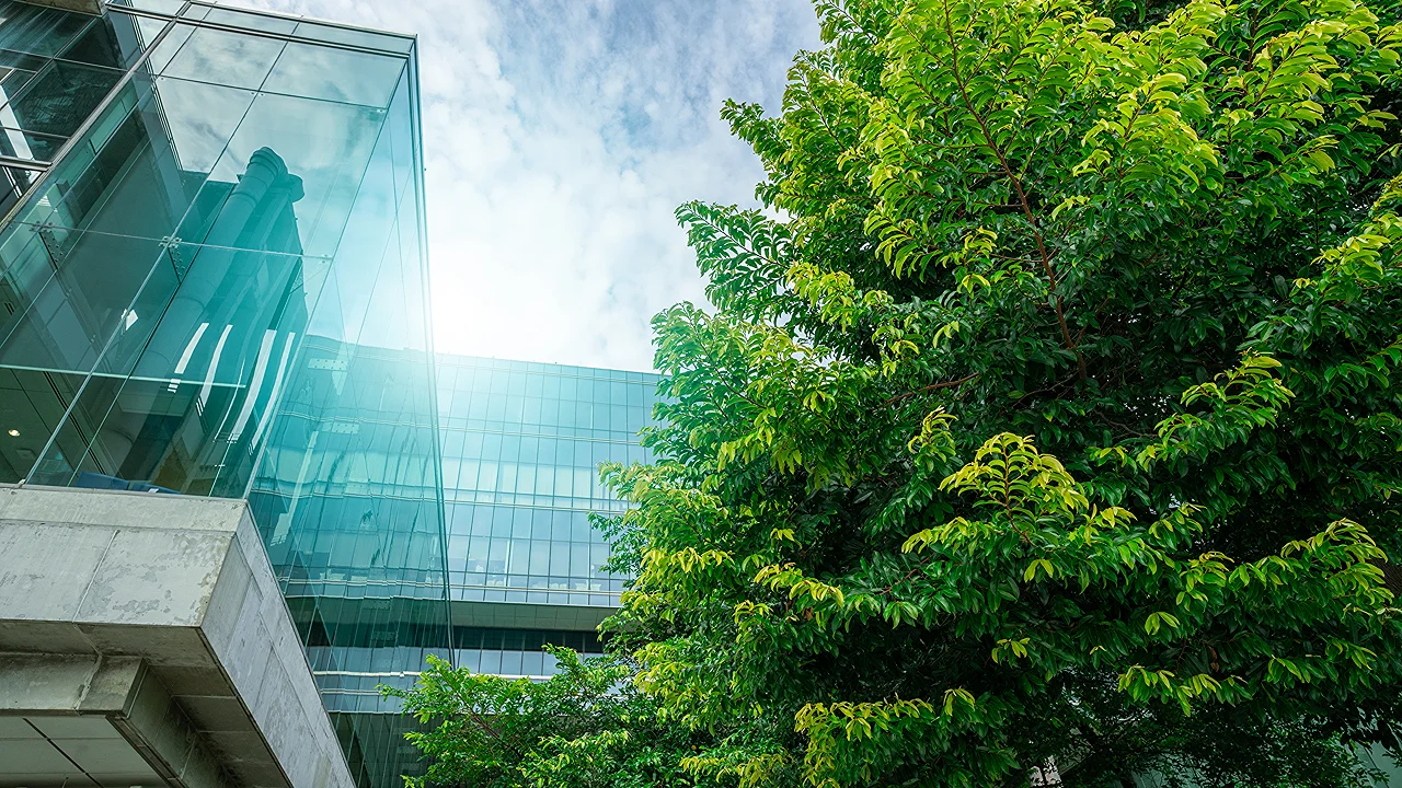 Gettyimages 1802169428